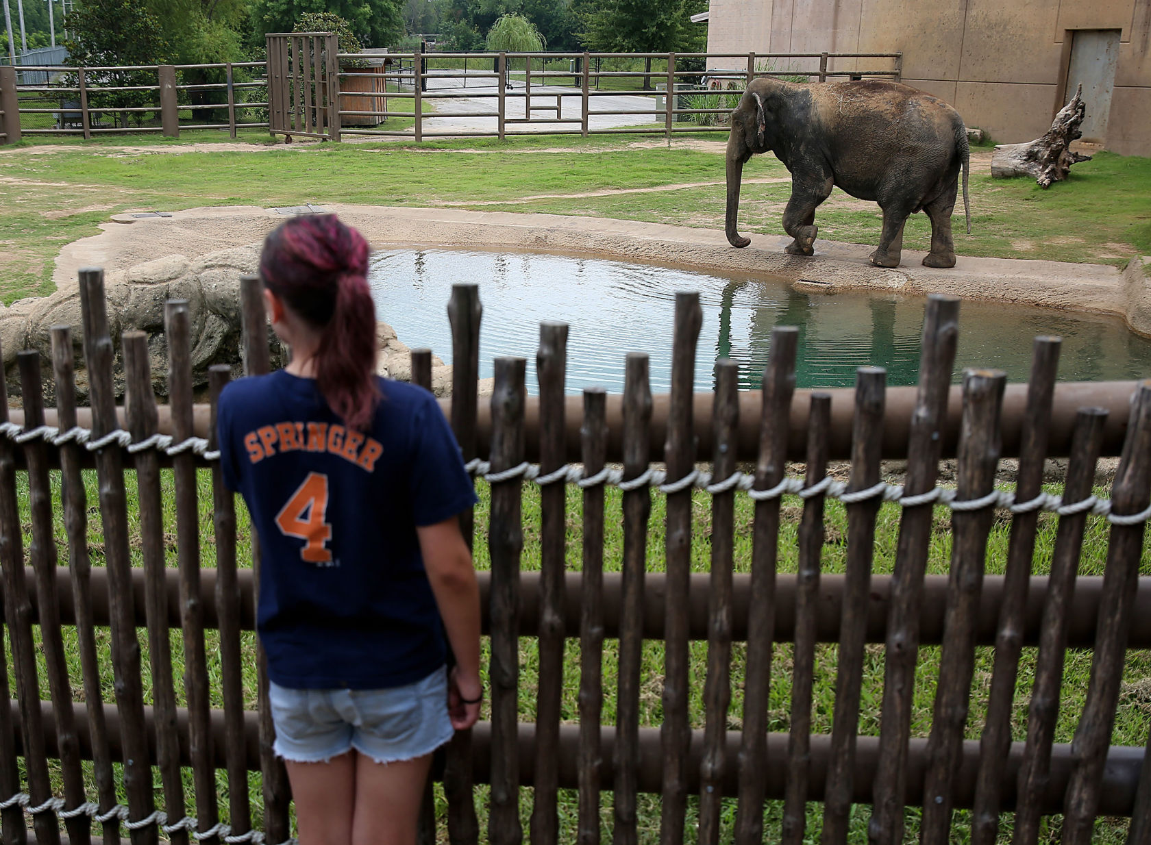TULSA zoologijos sodas